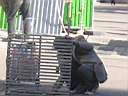 anima parigina 3 008.jpg
